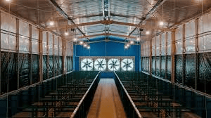 Automated Cooling & Ventilation: Teknologi Murah untuk Tekan Heat Stress